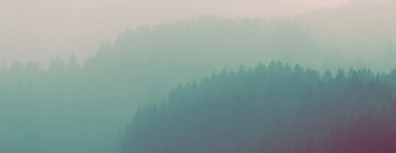 Collines couvertes de forêts de conifères qui s’estompent dans la brume, en dégradé de bleu-vert et de mauve.