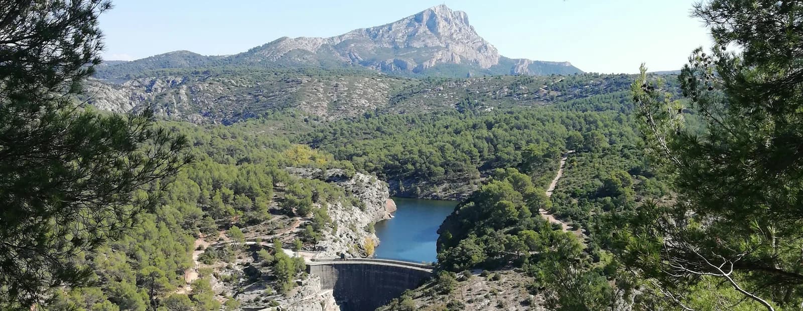 La montagne Sainte-Victoire vue à travers les pins, au-dessus du barrage Zola et de son lac, sur la commune du Tholonet.