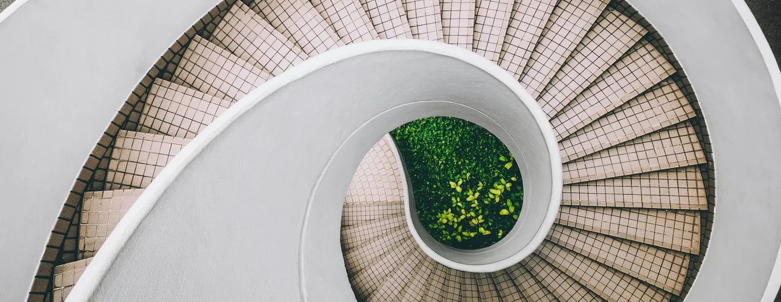Escalier hélicoïdal blanc vu d’en haut, qui s’enroule autour d’un puits de verdure
