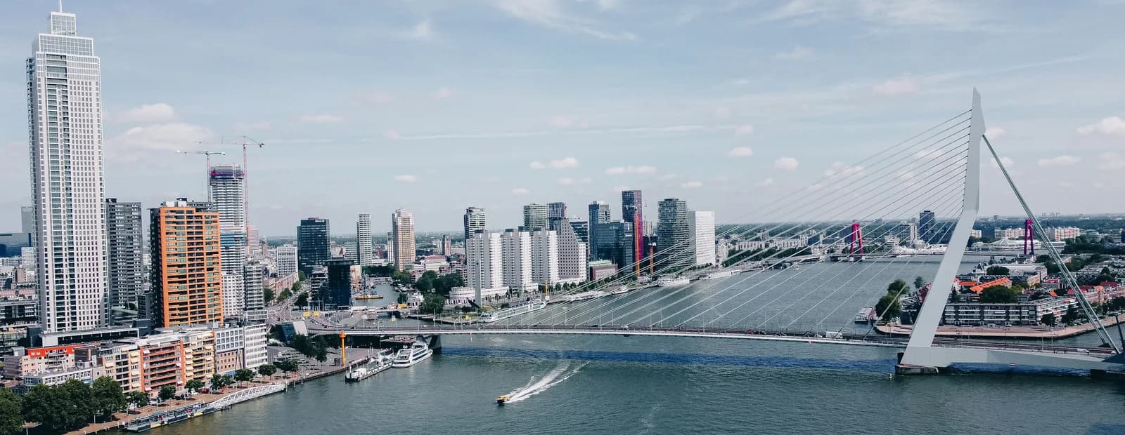 Vue aérienne de Rotterdam par temps clair : tours de bureaux, quais animés et pont à haubans blanc enjambant un large fleuve.